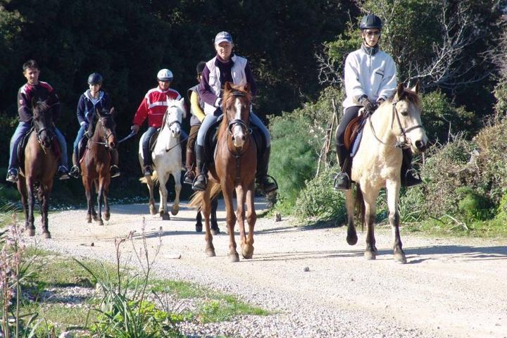 ticketPhotos/4285/150/2024-03-30T12-16-10.783Z_hors riding4.jpg